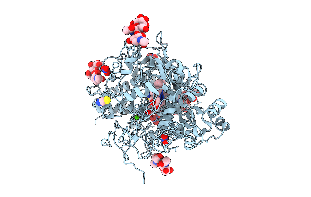 3BXI image