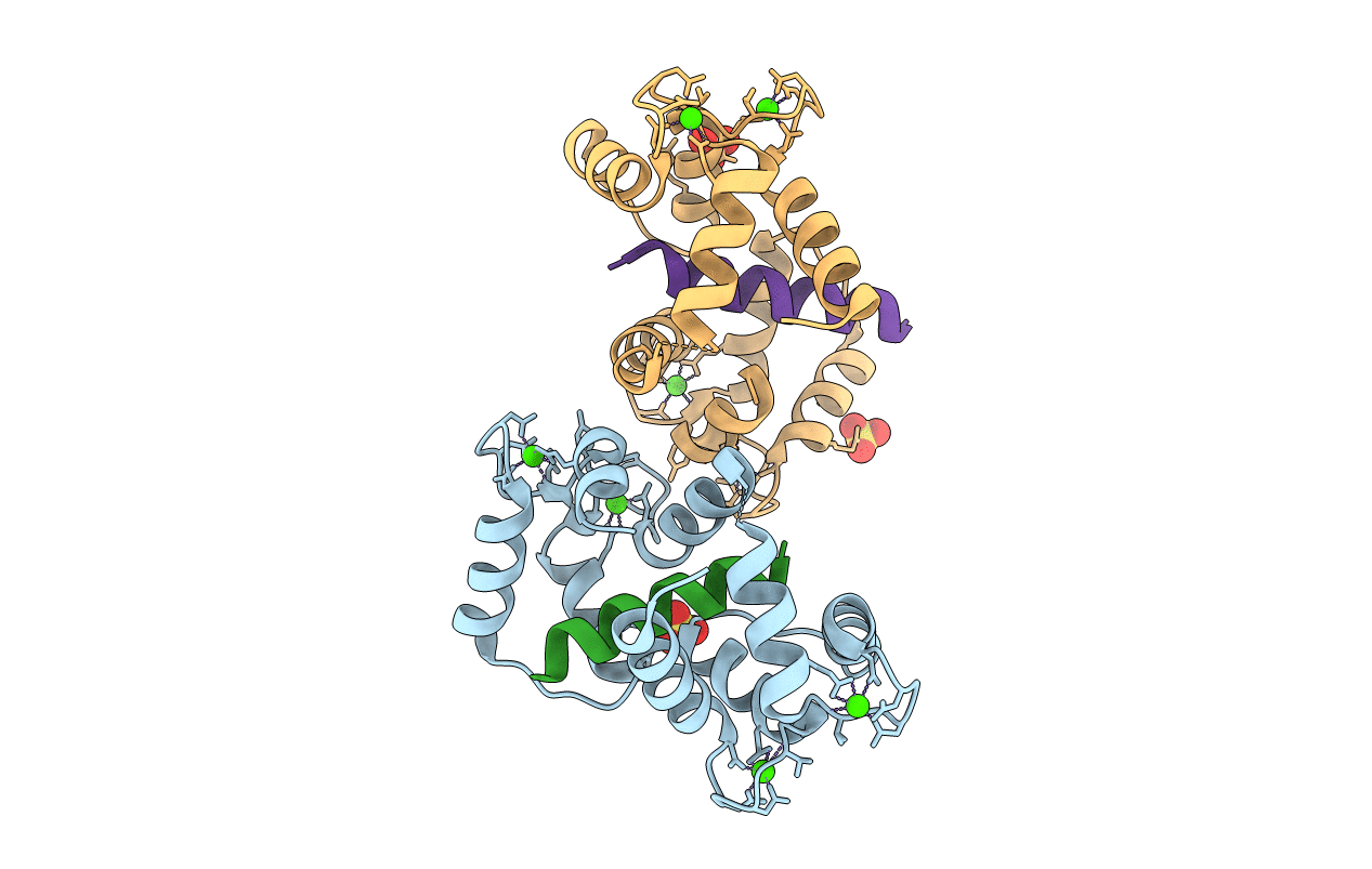 3BXK image