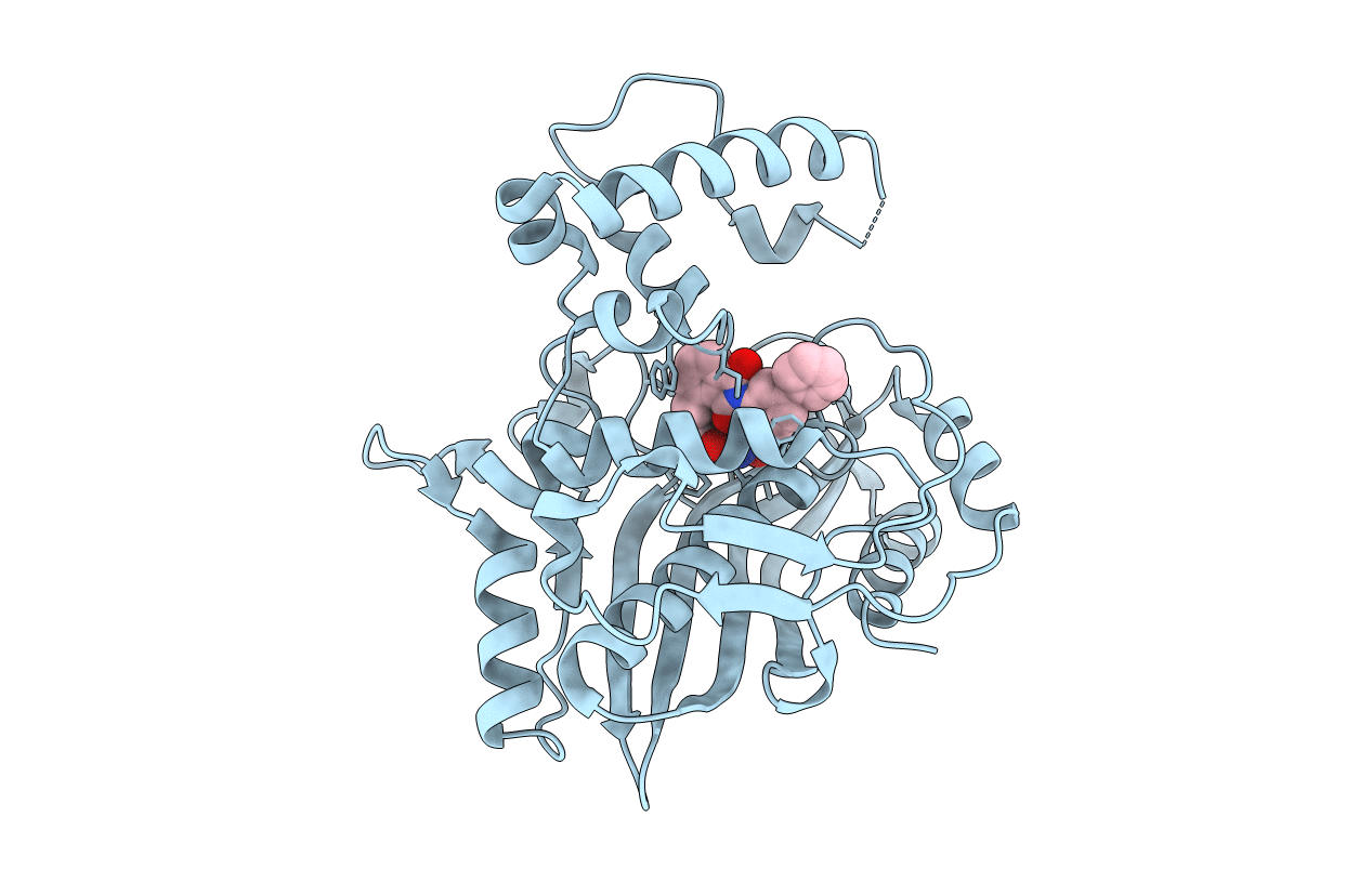 3BYX image