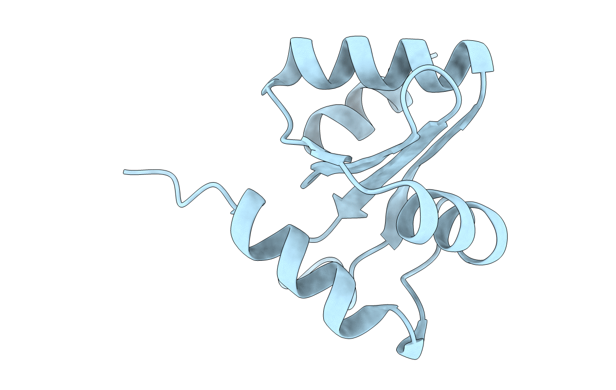 3BZP image