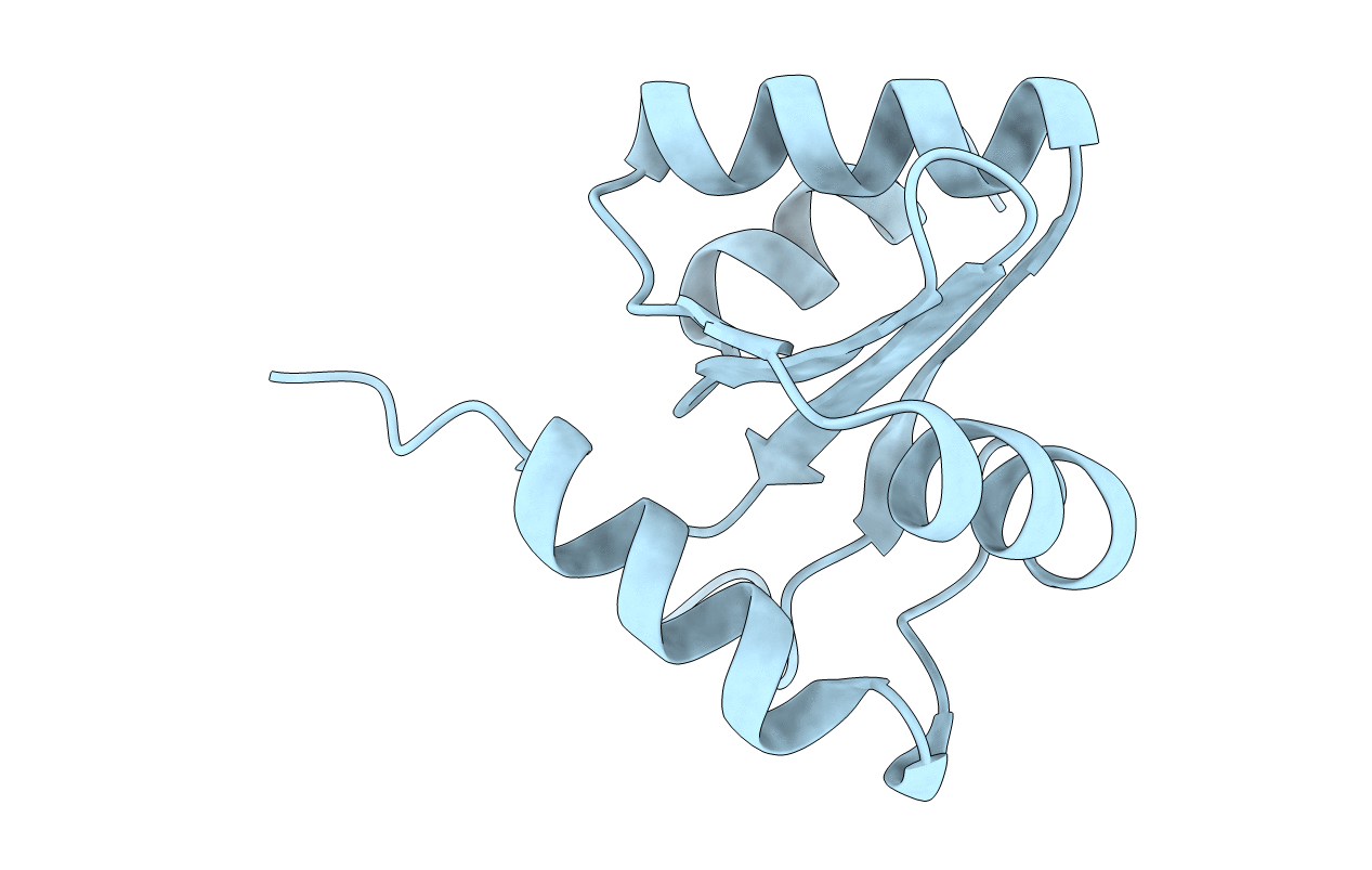 3BZT image