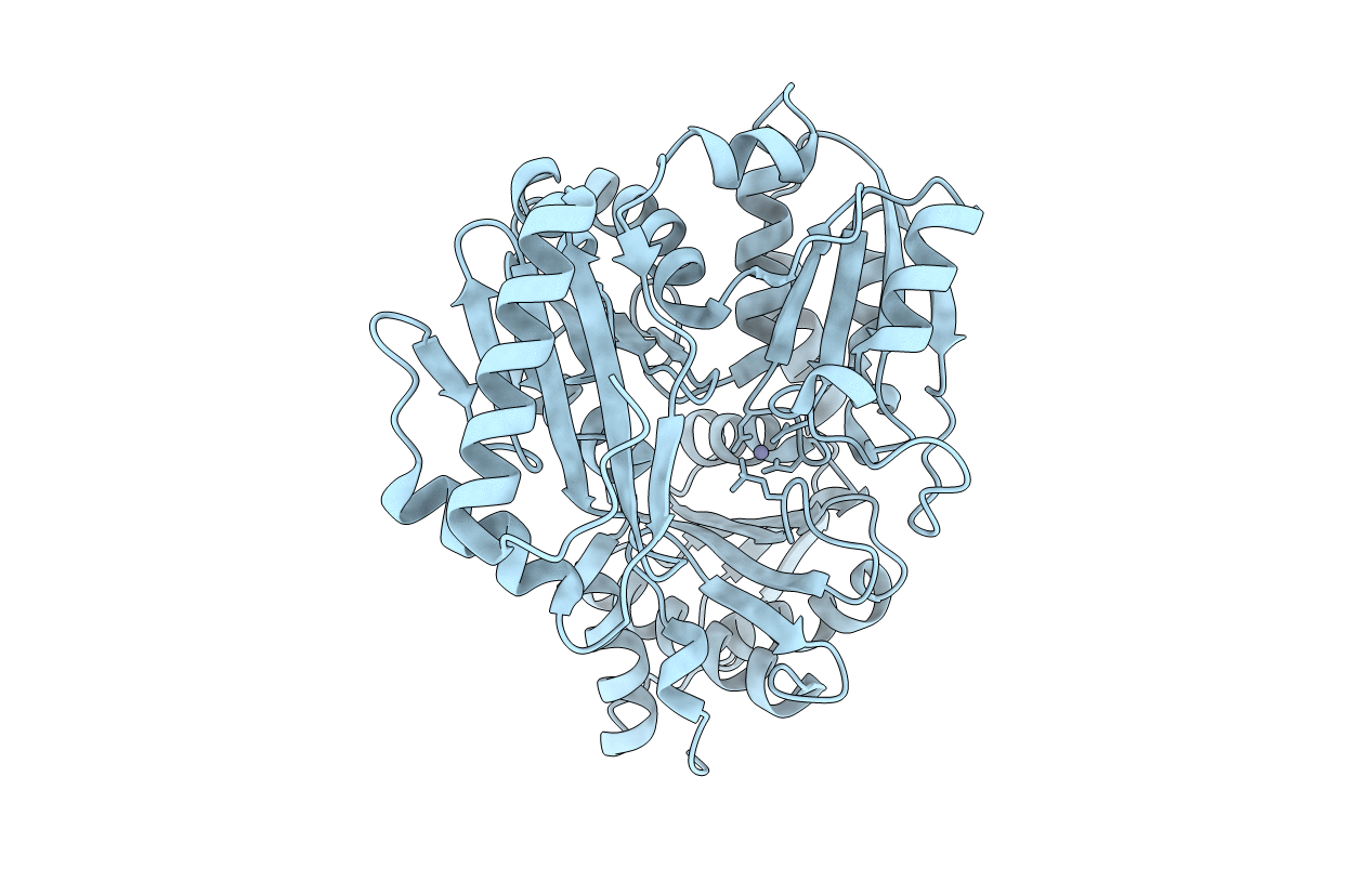 3C04 image