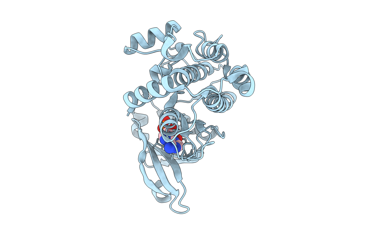 3C0I image