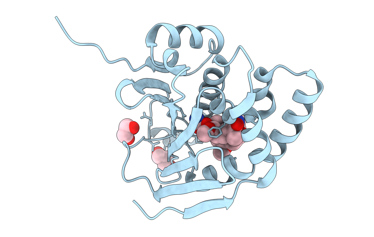 3C11 image