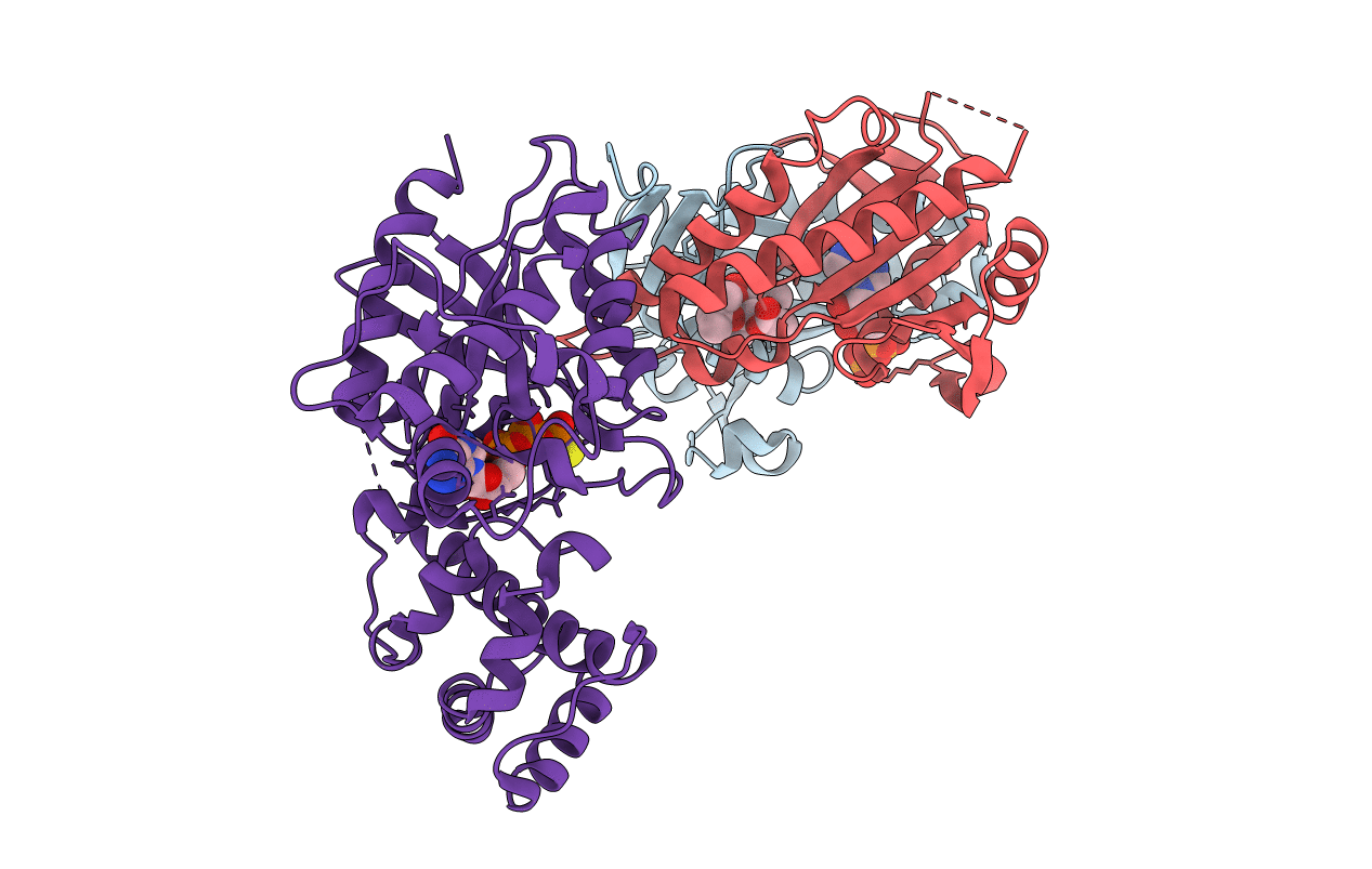 3C16 image