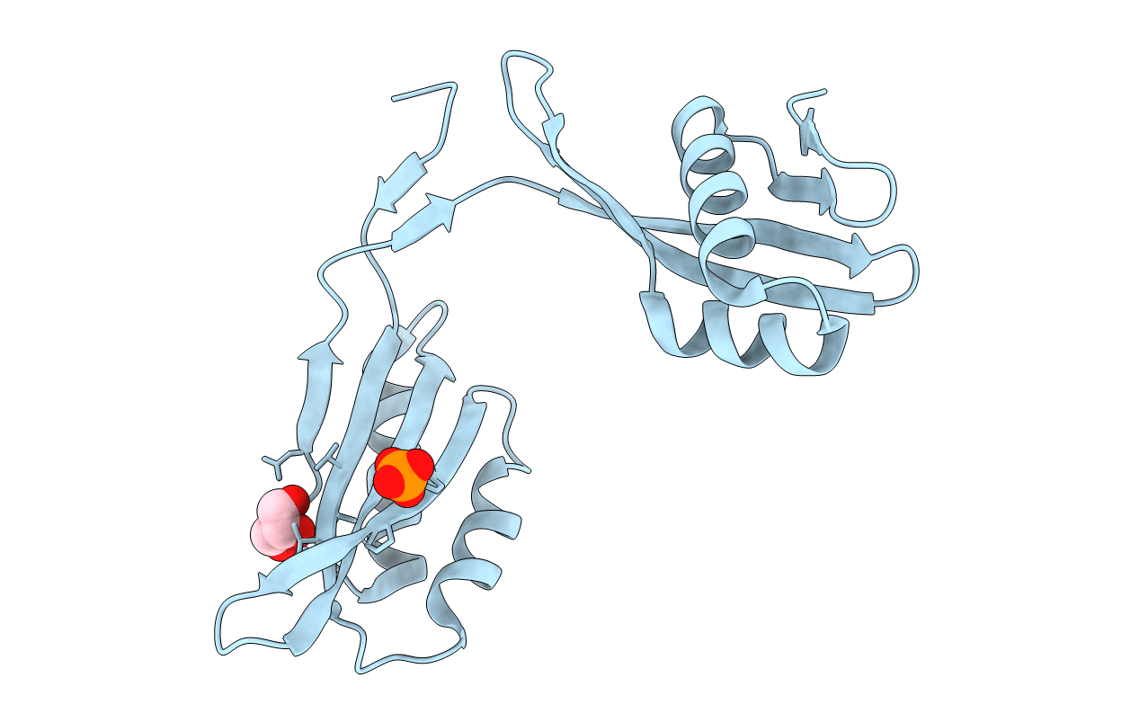 3C19 image