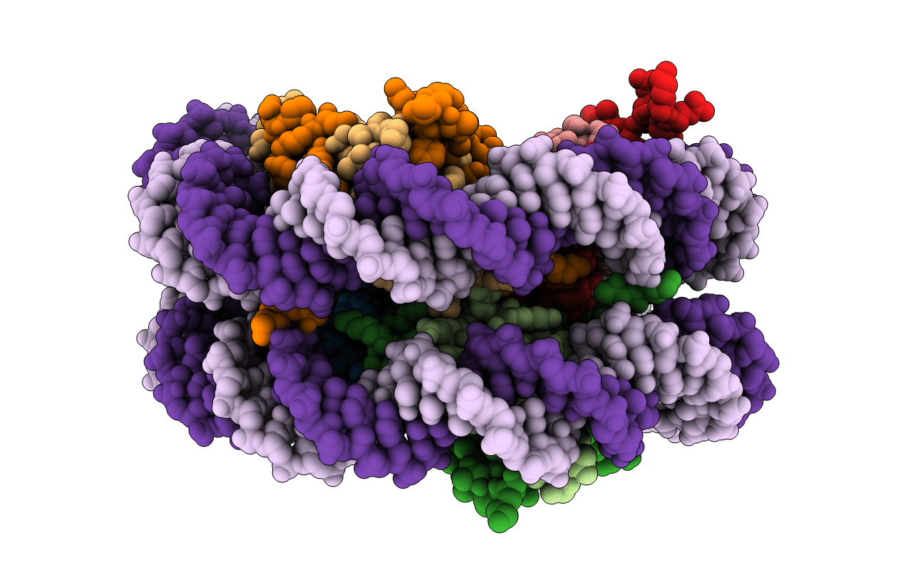 3C1B image