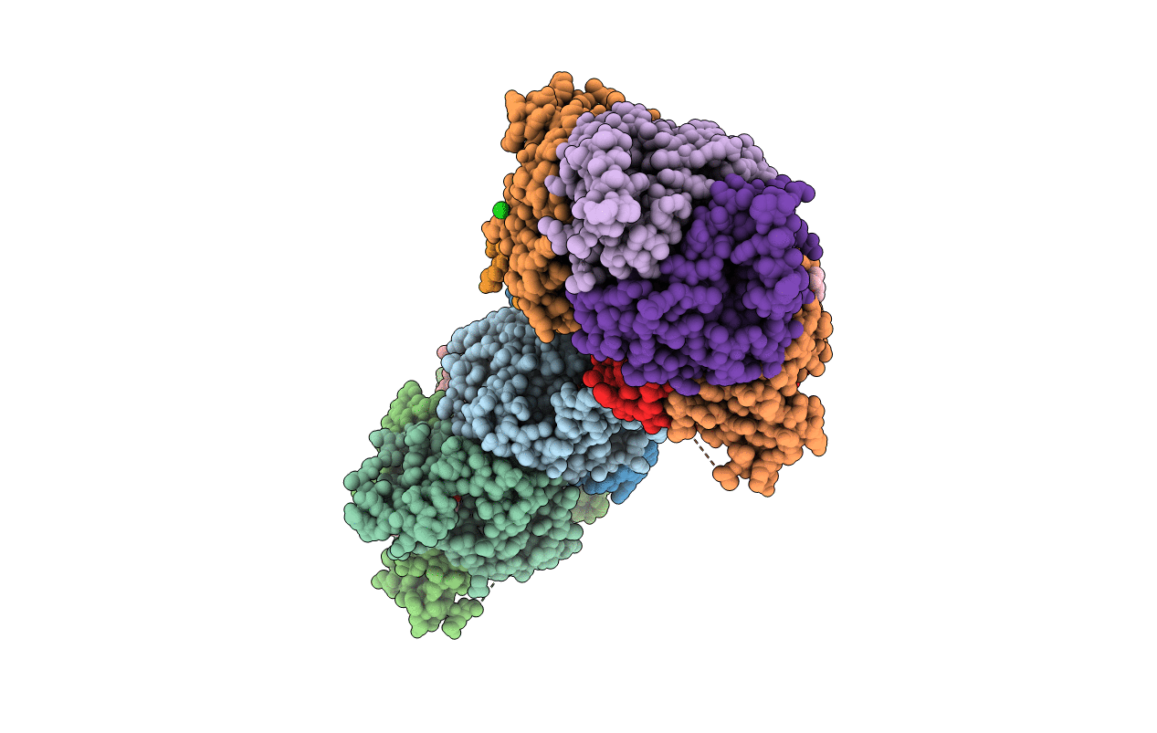 3C1L image