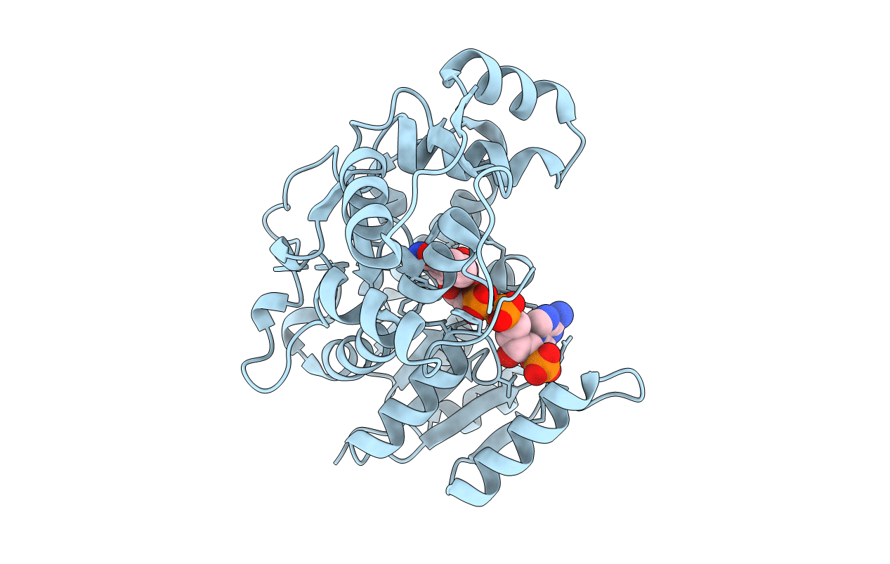 3C1O image