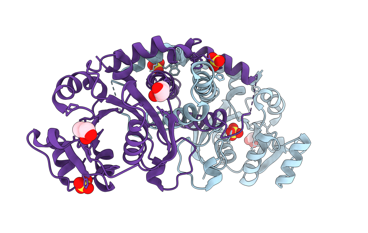 3C24 image