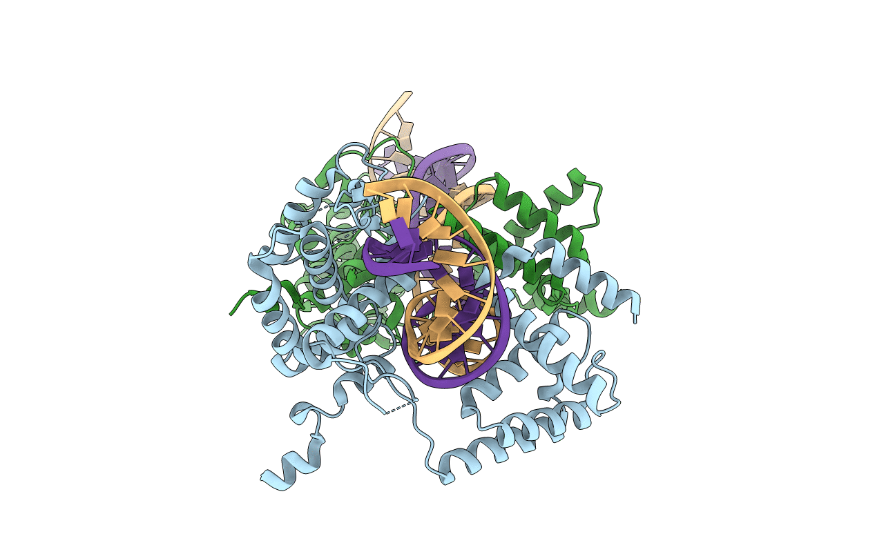 3C28 image