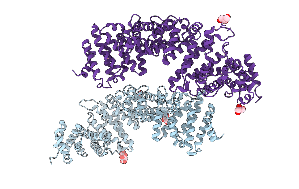 3C2H image