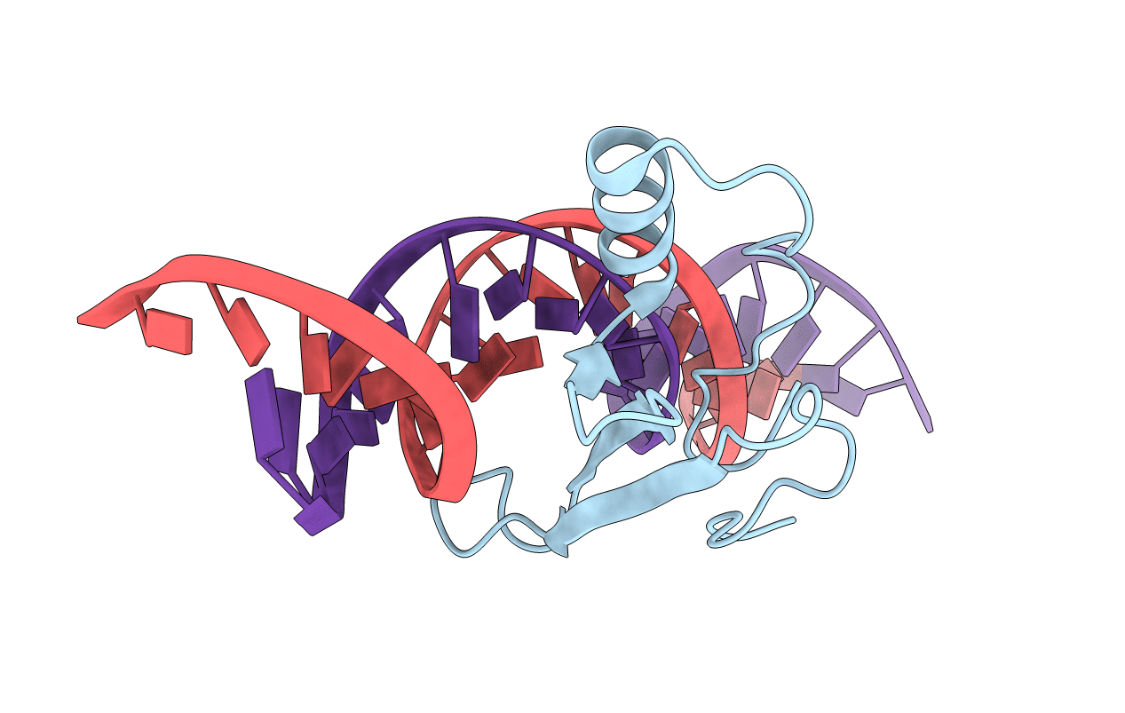 3C2I image