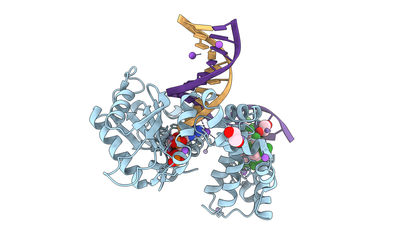 3C2M image
