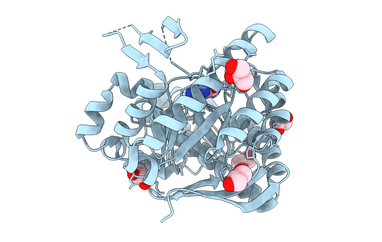 3C2Y image