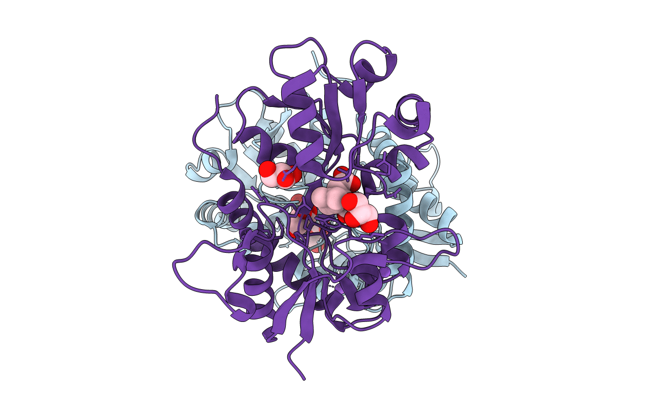 3C32 image