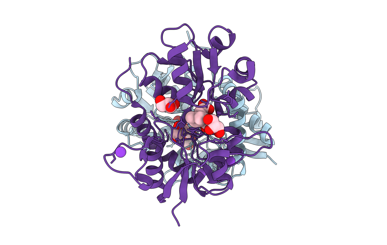 3C33 image