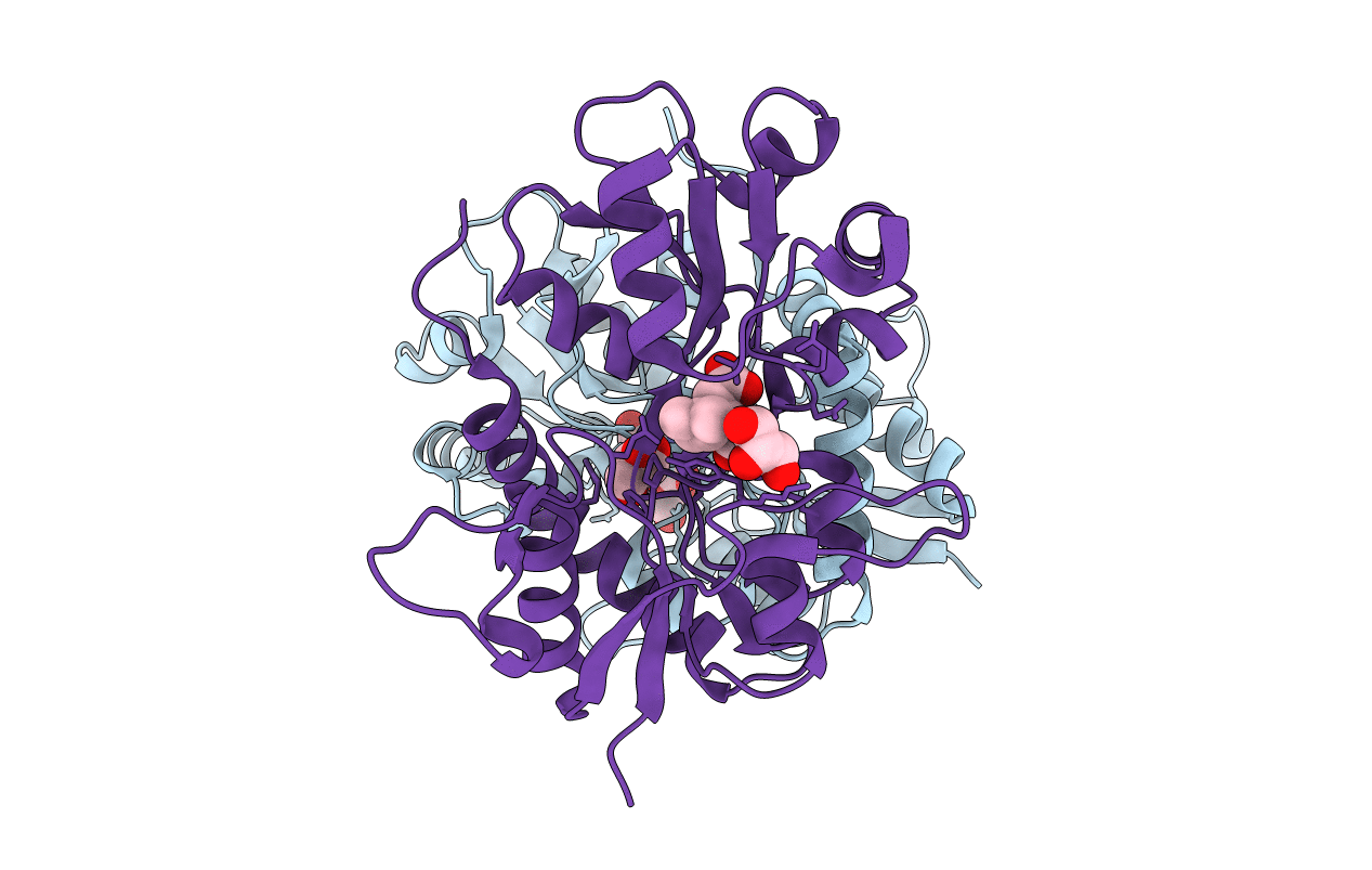 3C36 image