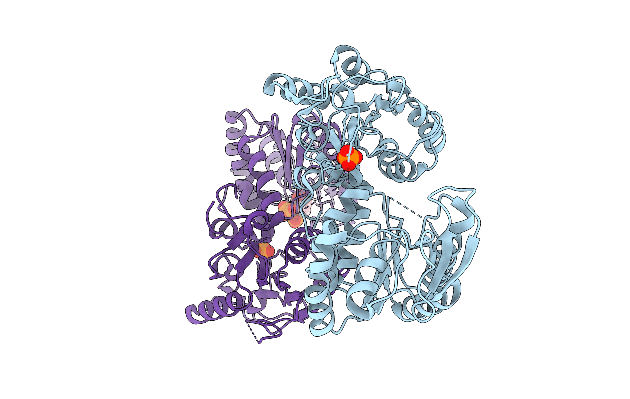3C3B image