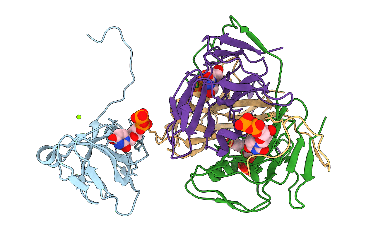 3C3I image