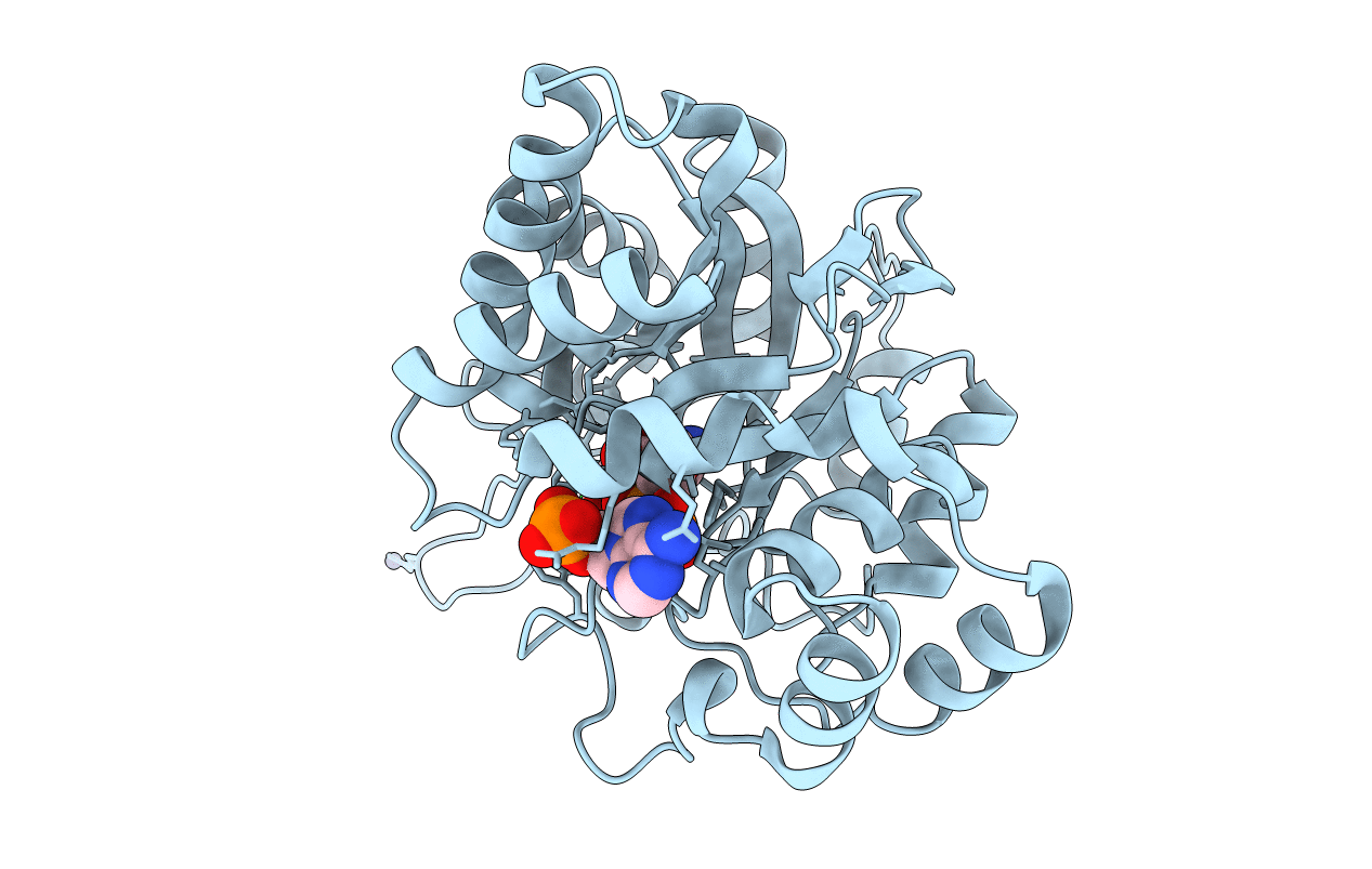 3C3U image