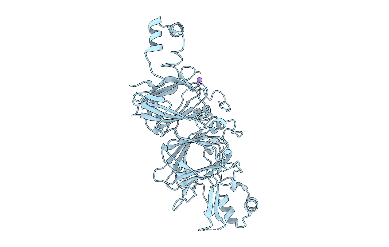 3C3V image