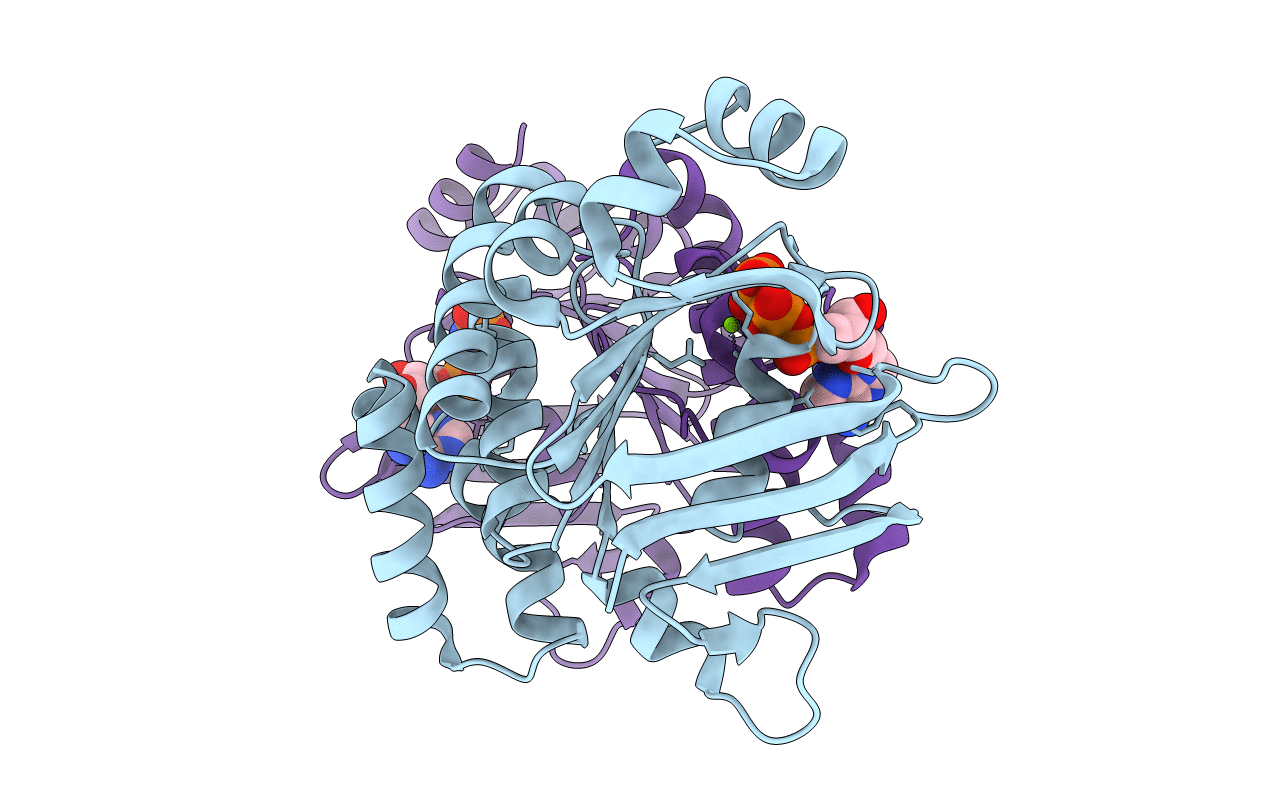 3C41 image