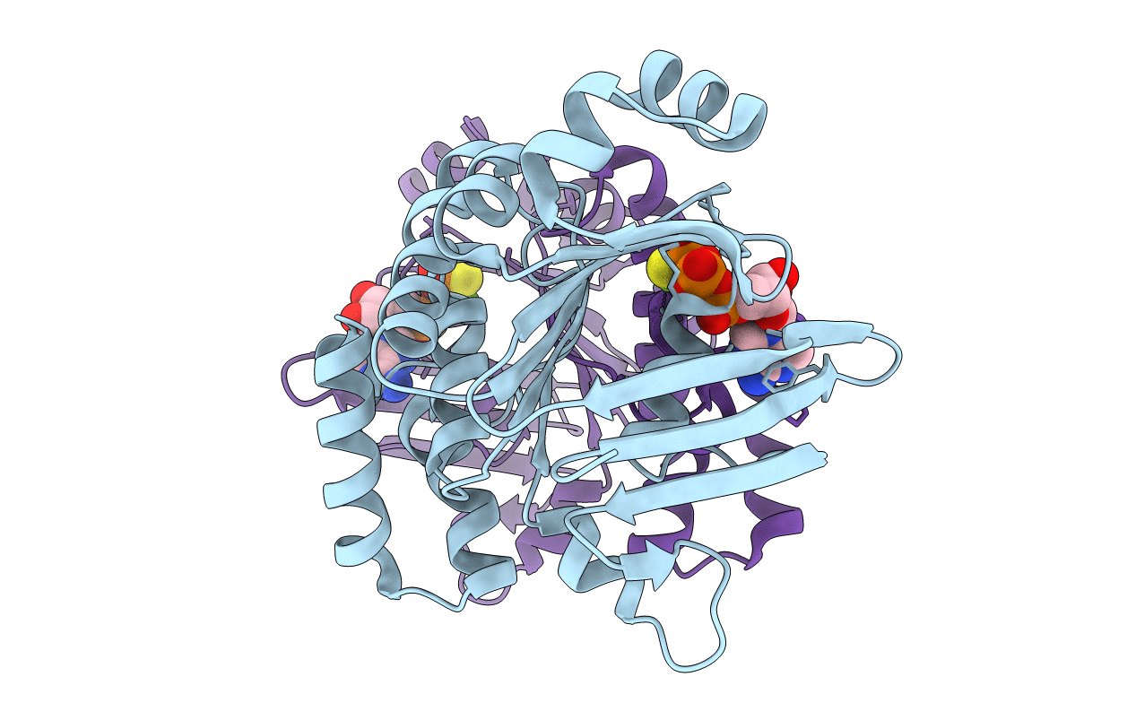 3C4J image