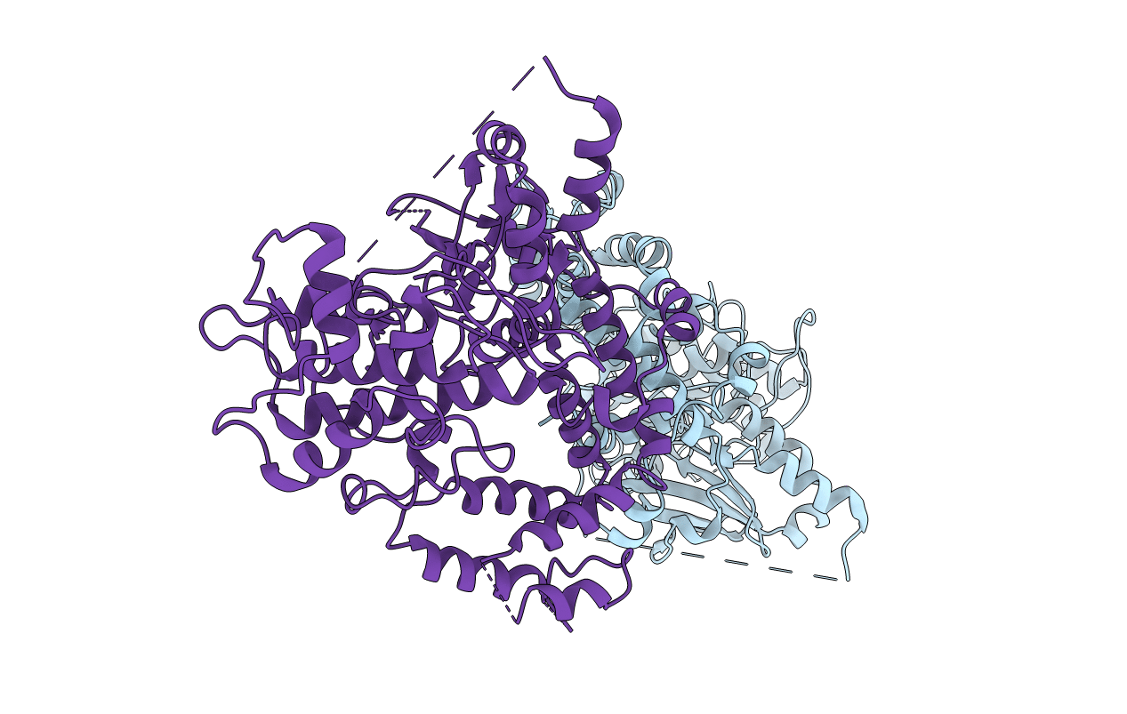 3C4Y image