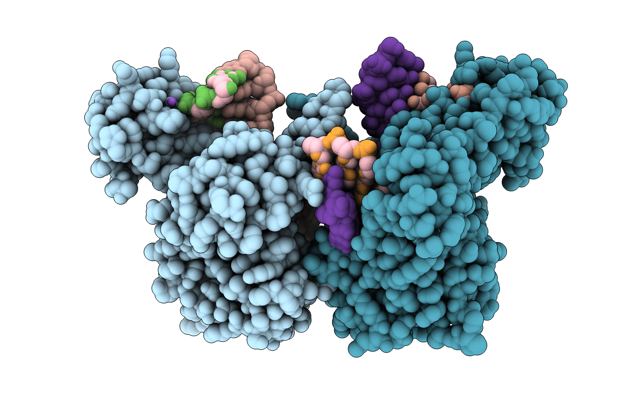 3C5F image