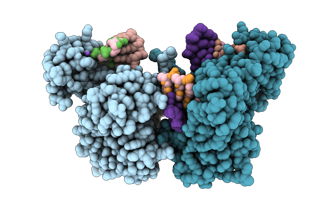 3C5G image