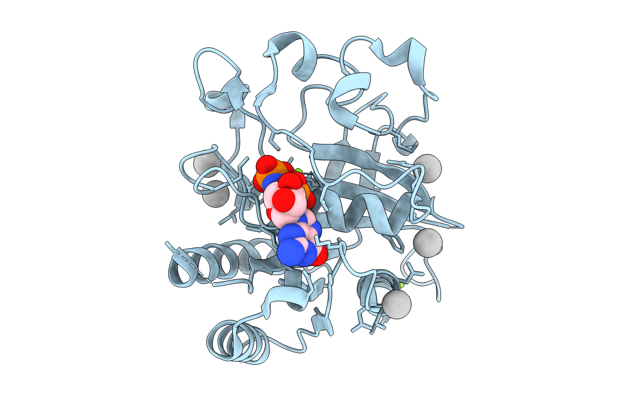3c5h image