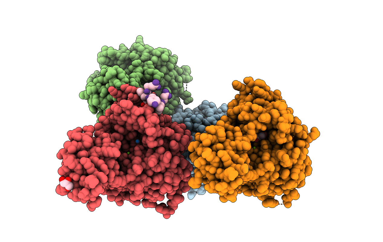 3C5I image