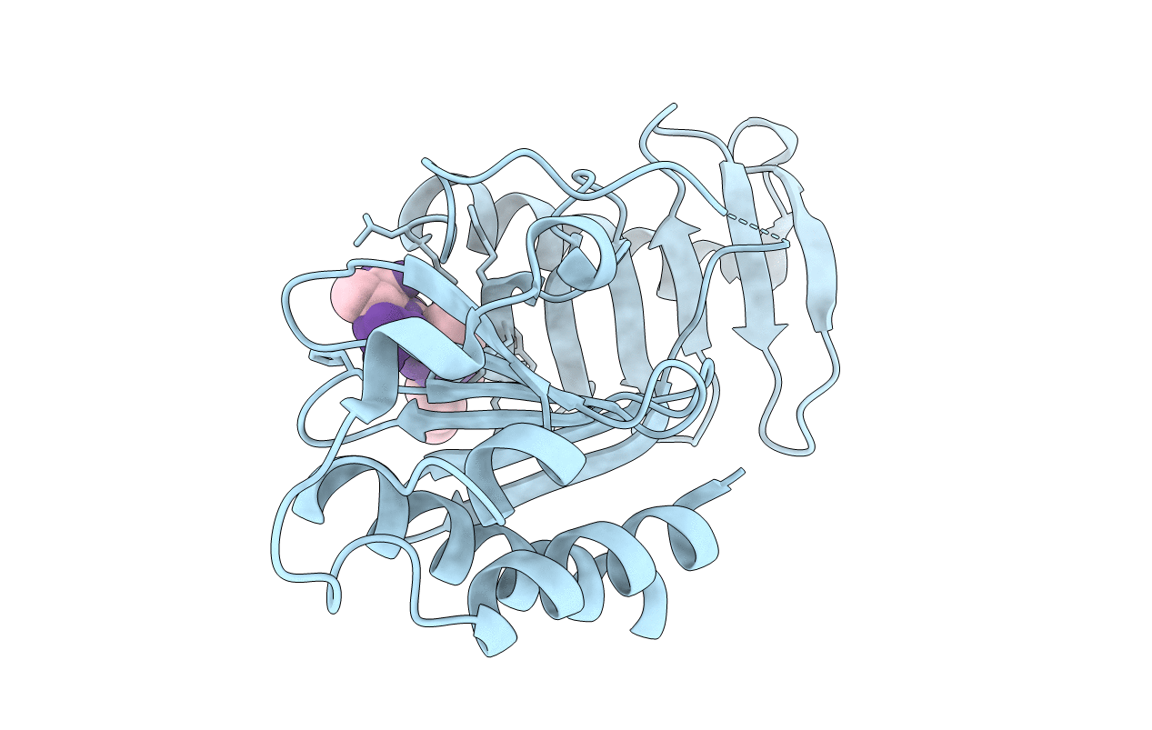 3C5L image