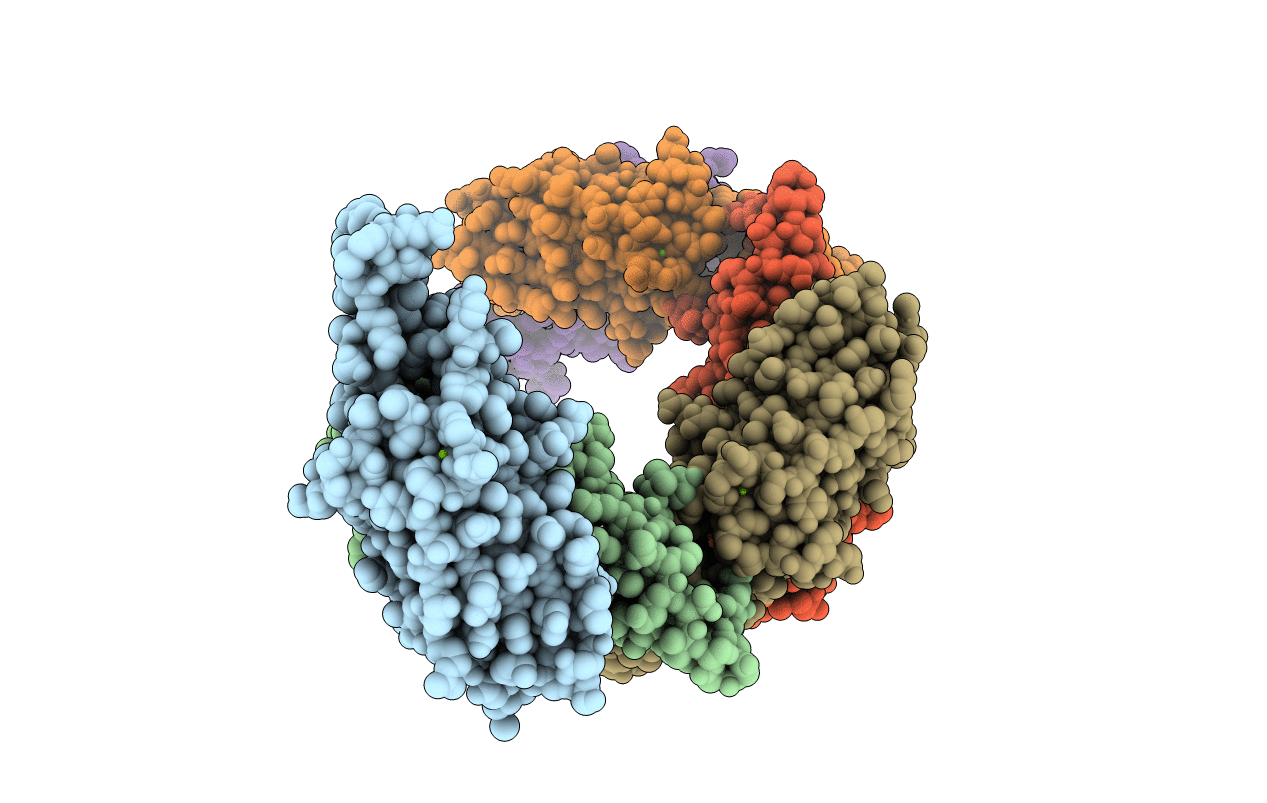 3C5P image