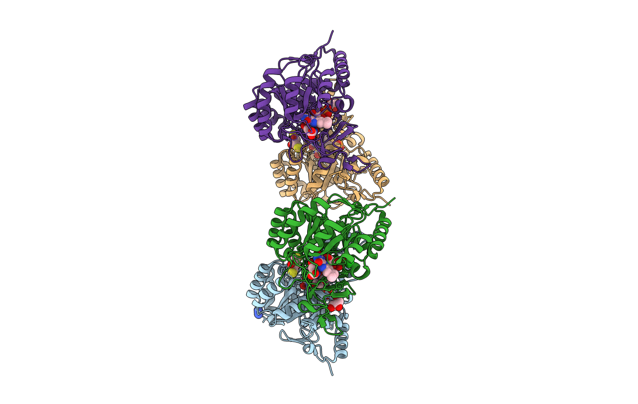 3C61 image