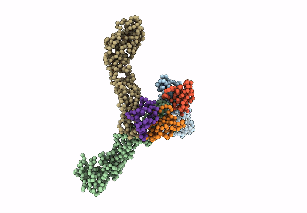 3C6D image
