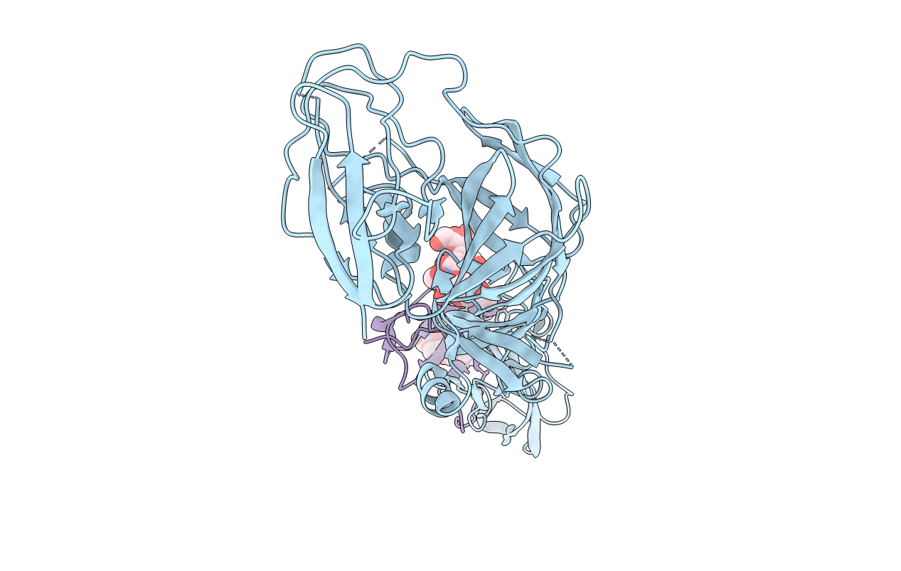 3C6E image