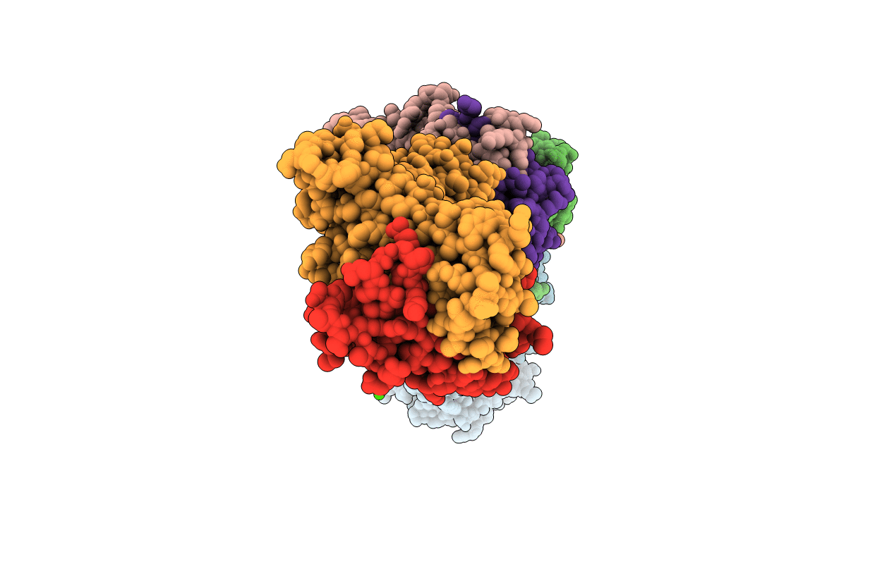 3C6L image