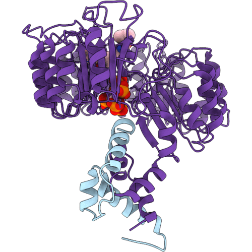 3C6N image