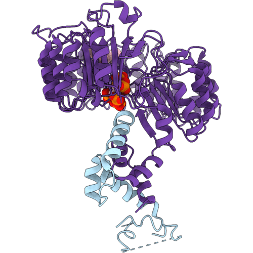 3C6O image