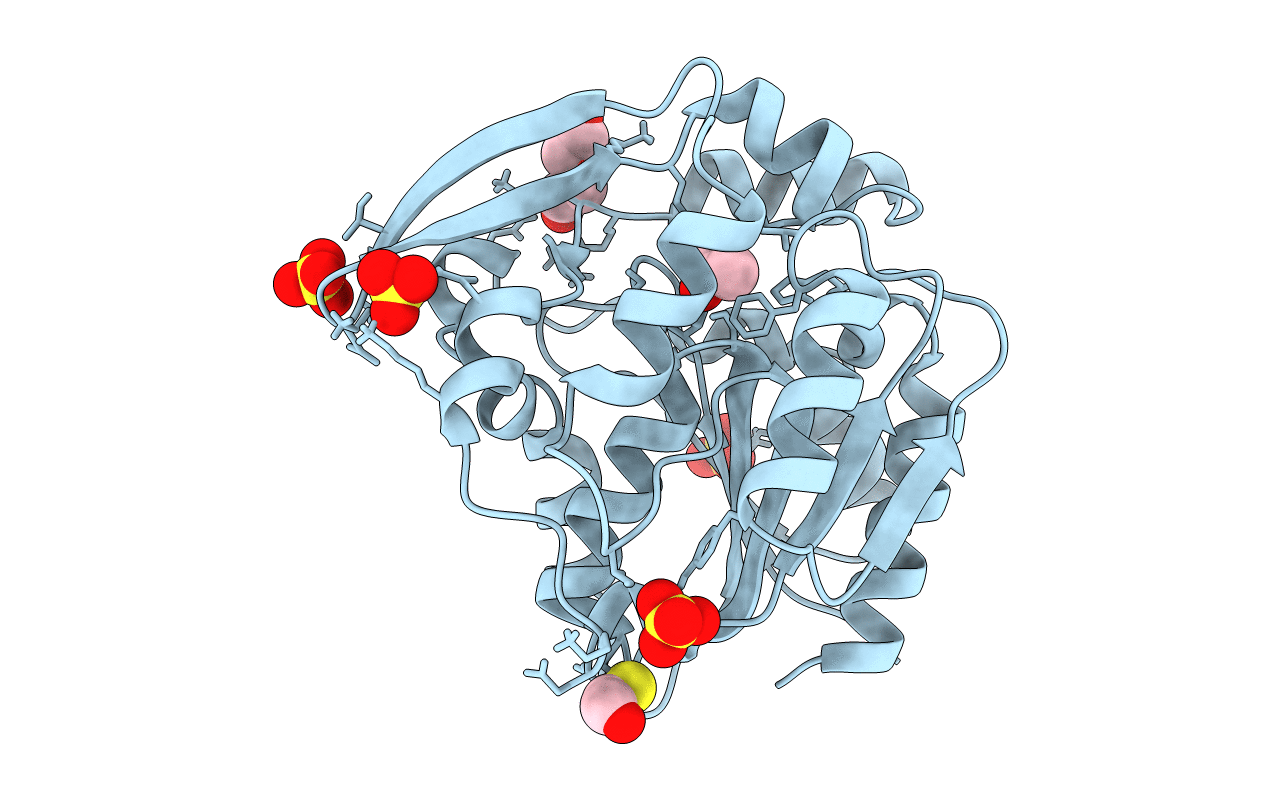 3C6Y image