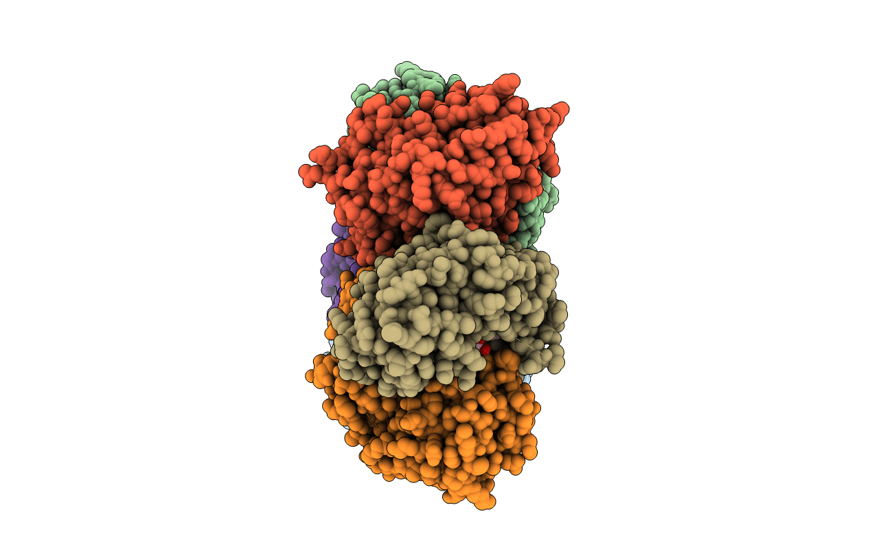 3C74 image