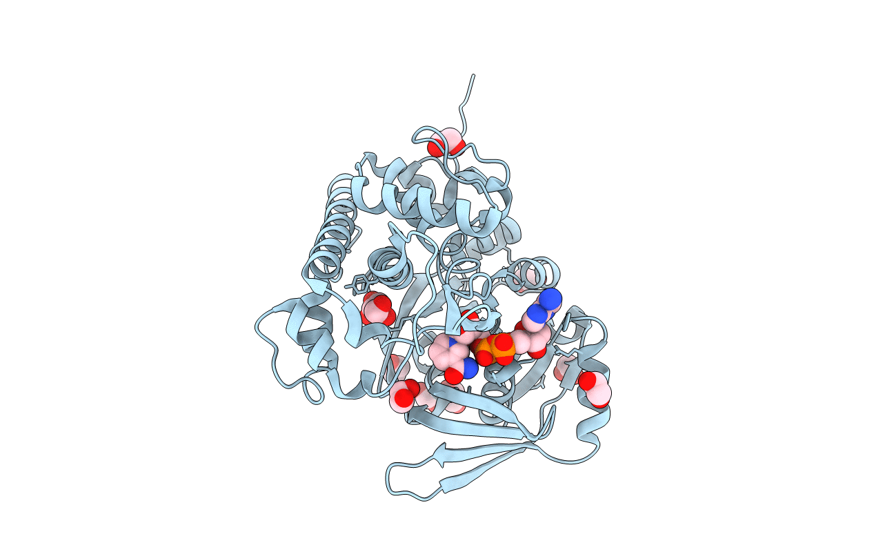 3C7A image