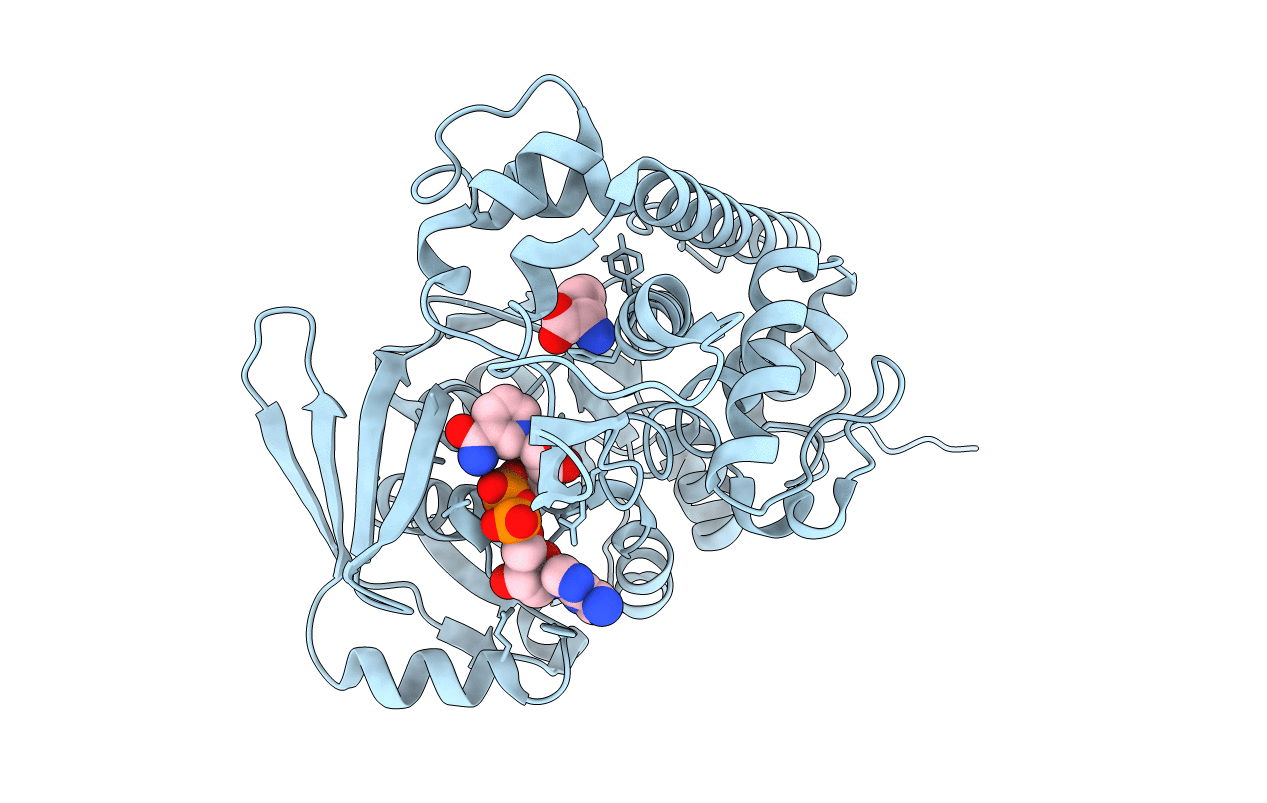 3C7C image