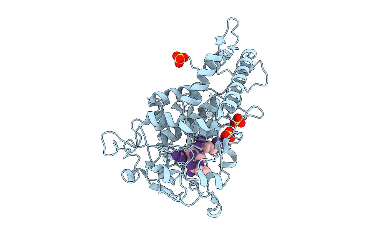 3C8A image