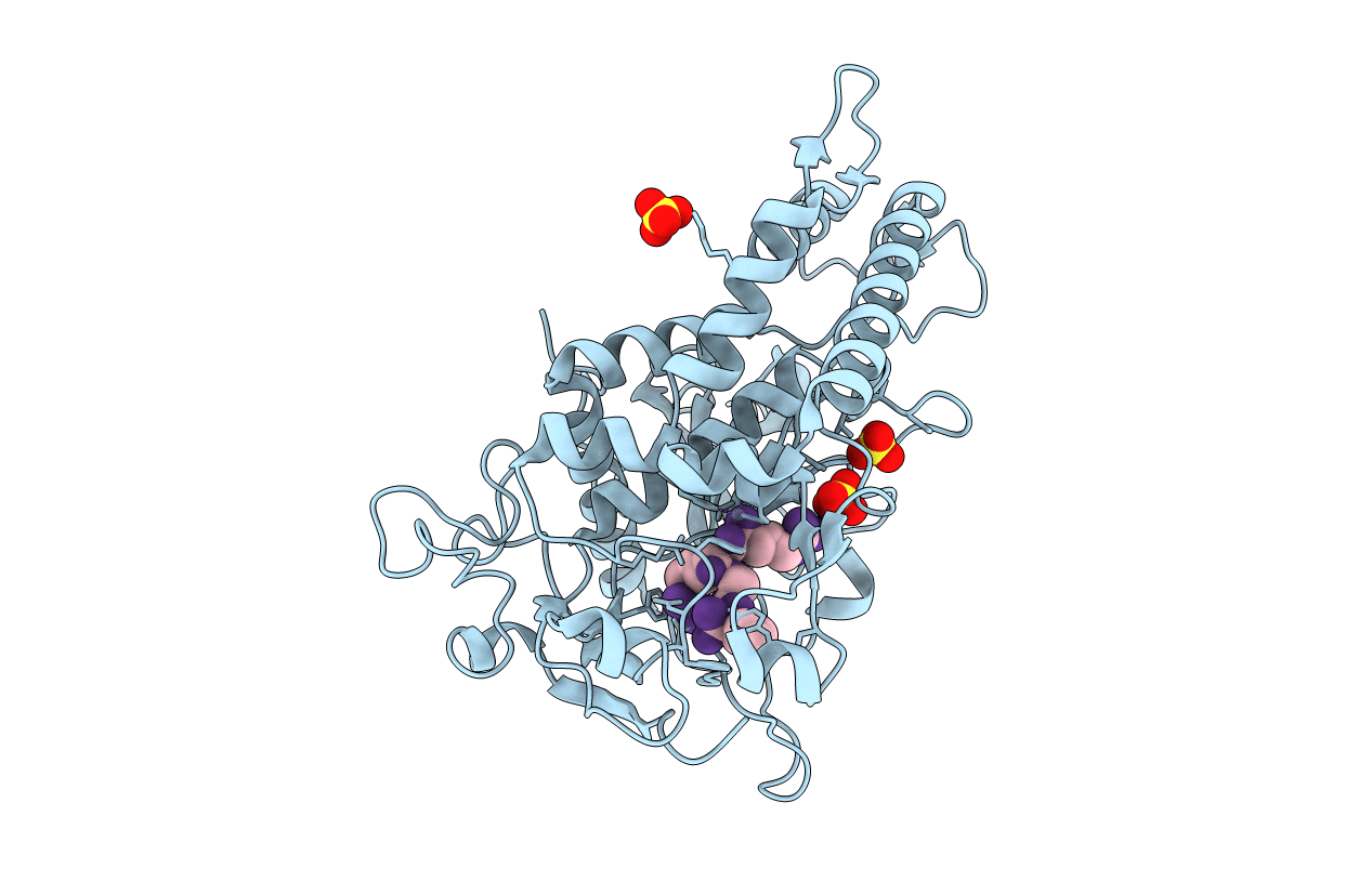 3C8B image