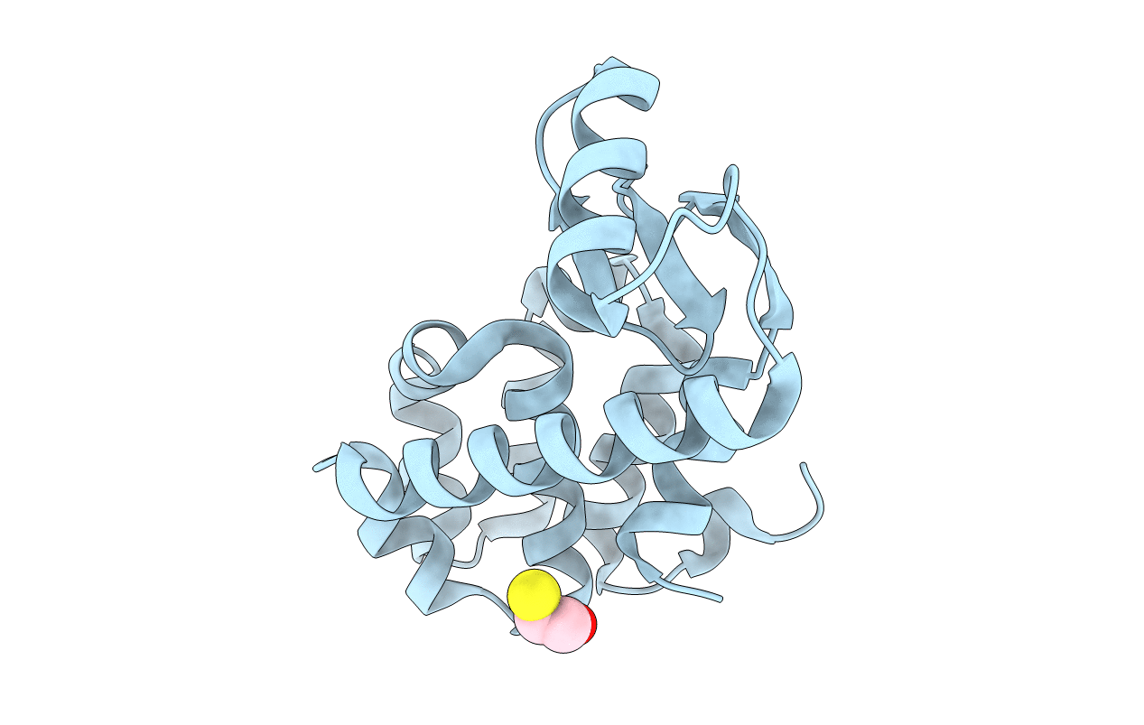 3C8R image