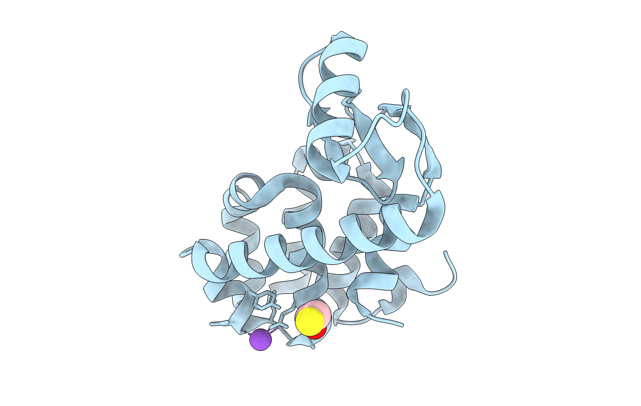 3C8S image
