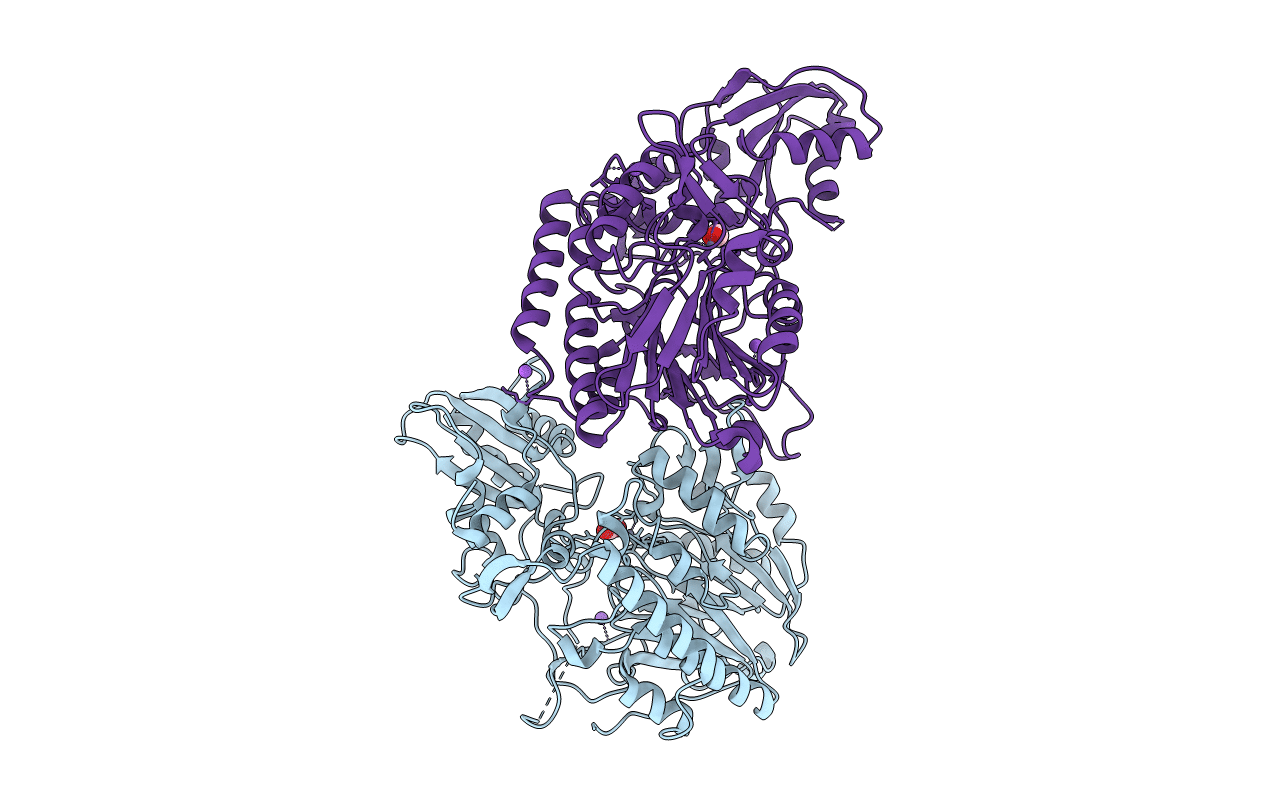 3C9F image